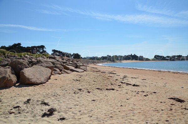 Vue générale de la plage ouest de l'ile de Renote à Trégastel