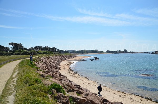 Sentier sur l'ile de Renote en Bretagne