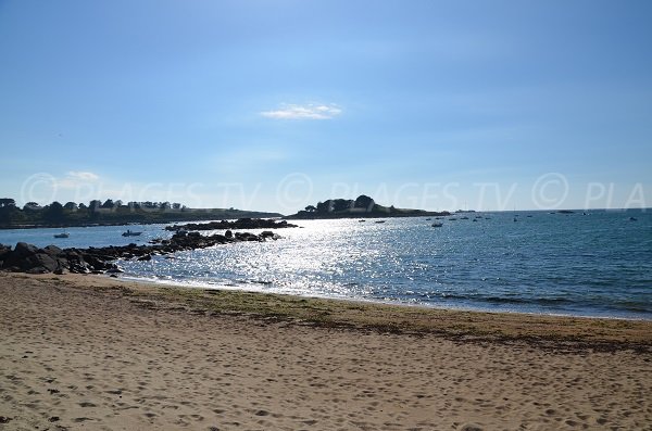 Island of Tanguy in Trégastel