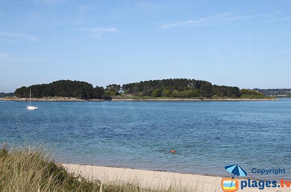 Vue sur l'Ile Aval depuis l'ile Grande