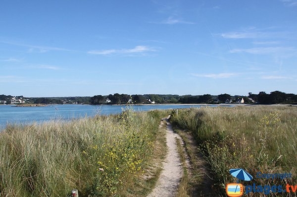 Accès à la plage à travers les dunes de Toul Gwenn