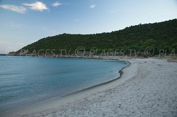 Plage sauvage à Fautea en Corse