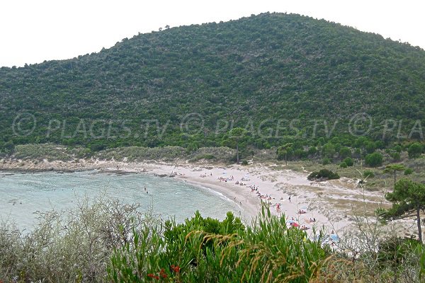 Plage Sud de Fautea - Ste Lucie de Porto Vecchio