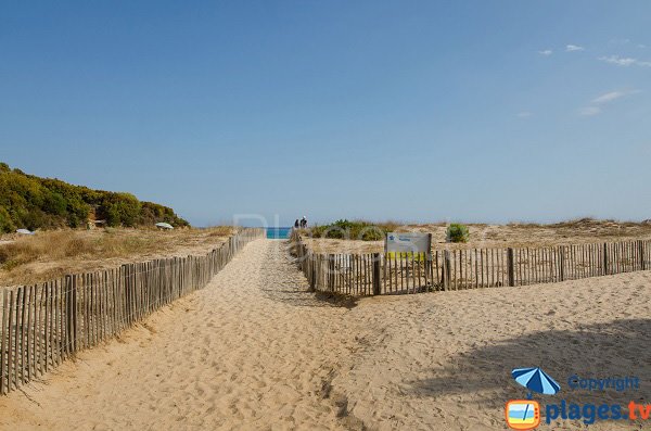 Sentier d'accès à la plage de Fautea - Corse