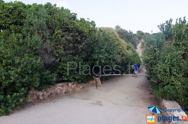  Strada di accesso alla spiaggia della Torre di Fautea