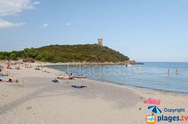 Foto della spiaggia ai piedi della torre di Fautea - Corsica
