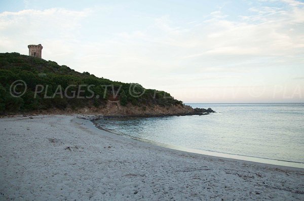 Photo de la plage de la tour génoise de Fautéa - Corse