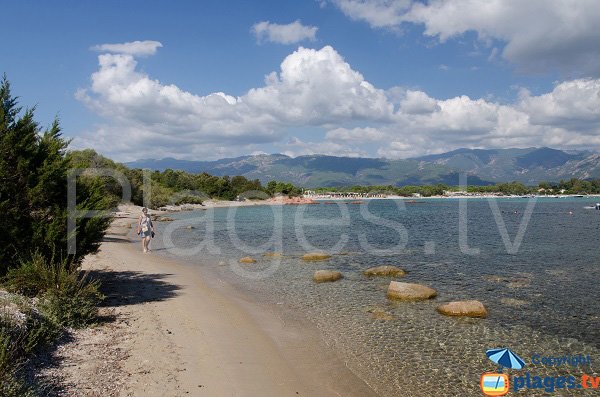 Spiaggia a sud della spiaggia di St Cyprien - Corsica