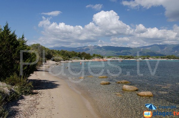 Beach near Tour of Cala Rossa - Corsica