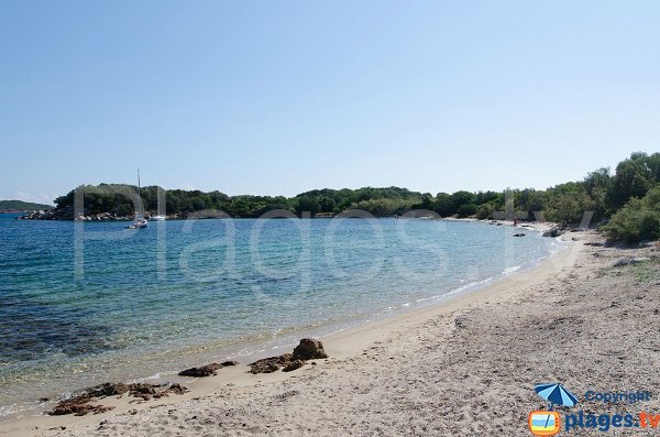 Photo of Tour beach in the St Cyprien bay - Corsica