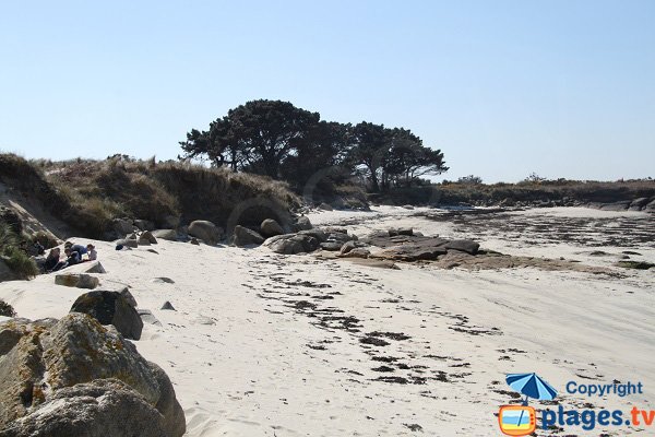 Plage sauvage sur l'ile de Callot au nord