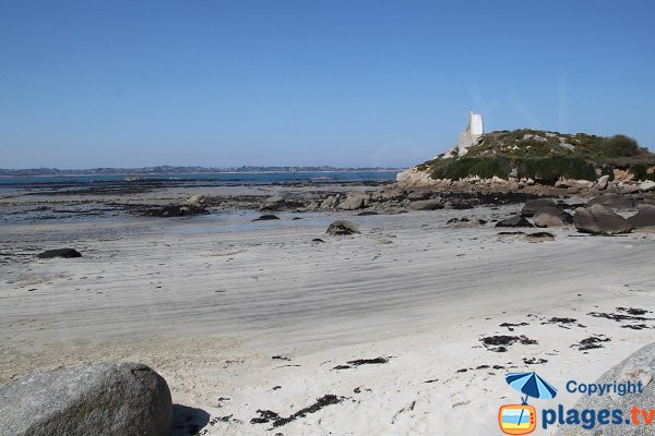 Vue sur Roscoff depuis l'ile de Callot