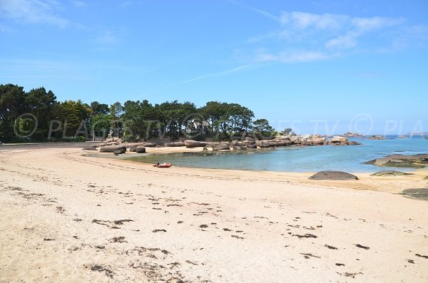 Tourony beach in Trégastel in Brittany in France