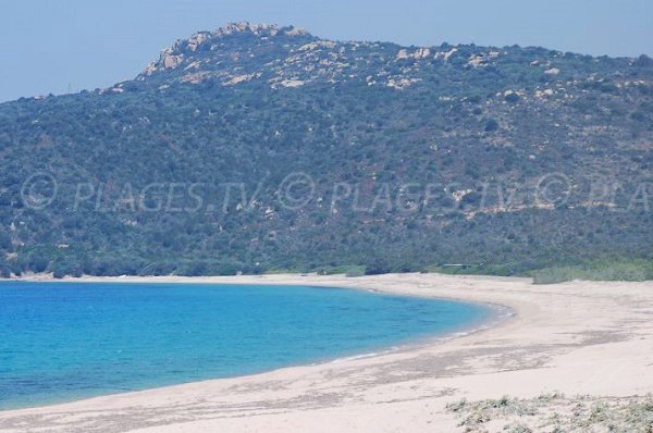 Foto della spiaggia di Tralicetu a Sartène