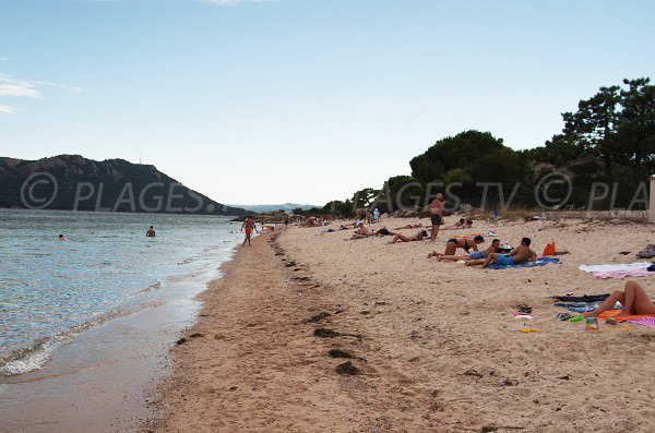 Beach before Benedettu peninsula - Corsica