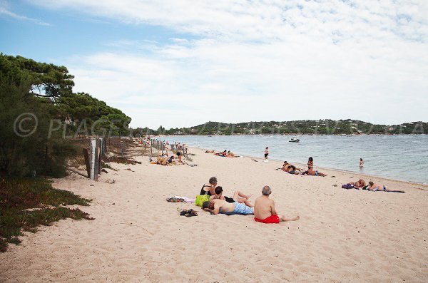 Ansa di tramulimacchia a Porto Vecchio