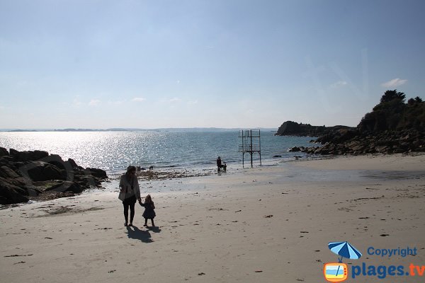 Plage de Traon Erc'h à marée basse à Roscoff