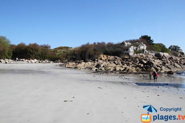 Plage de Traon Erc'h à Roscoff