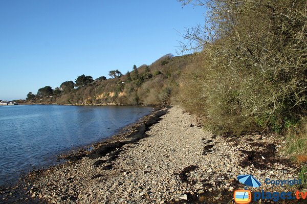 Plage ombragée à Plougasnou