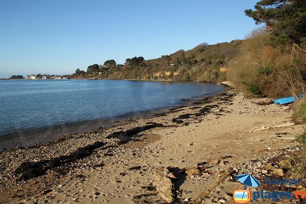 Photo de la plage de Traonazen à Plougasnou