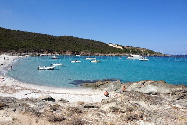 Foto della spiaggia della Trave nel deserto delle Agriate - Corsica