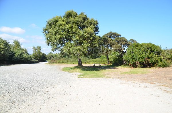 Parcheggio spiaggia di Travo