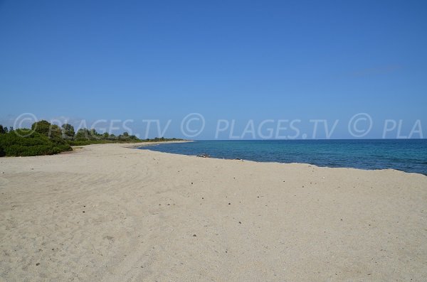 Foto della spiaggia di Travo in Corsica