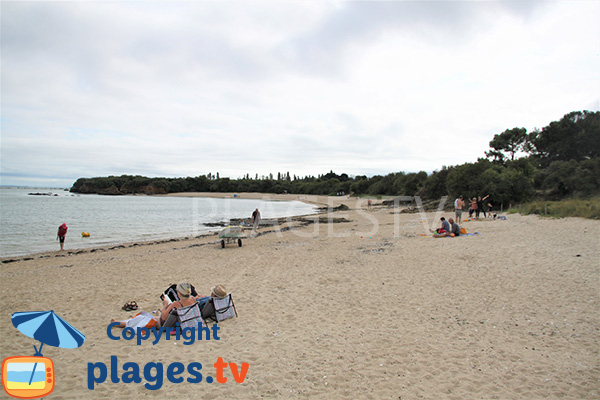 Plage de sable à proximité des campings d'Ambon