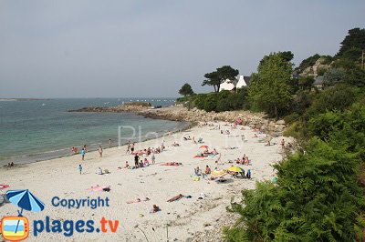 Plage de Trélévern