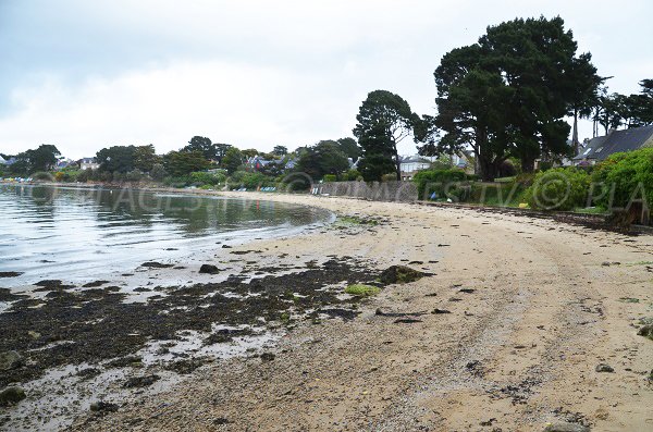 Photo of Treno beach - Gulf of Morbihan - Arzon