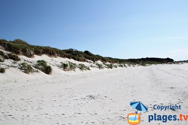 Dunes de la plage de Tréompan - Ploudalmézeau