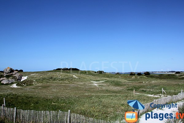 Environnement de la plage de Tréompan à Ploudalmézeau