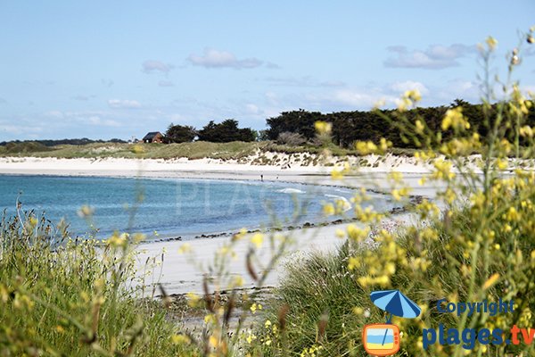 Anse de Tréompan à Ploudalmézeau