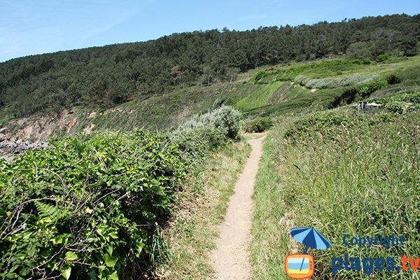 Sentier d'accès à la plage de Trez Bihan à Telgruc sur Mer