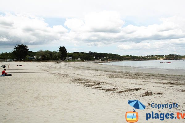 Photo de la plage de Trez Hir à Plougonvelin