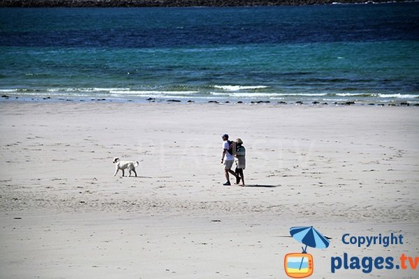 Randonnée sur la plage de Lampaul Ploudalmézeau