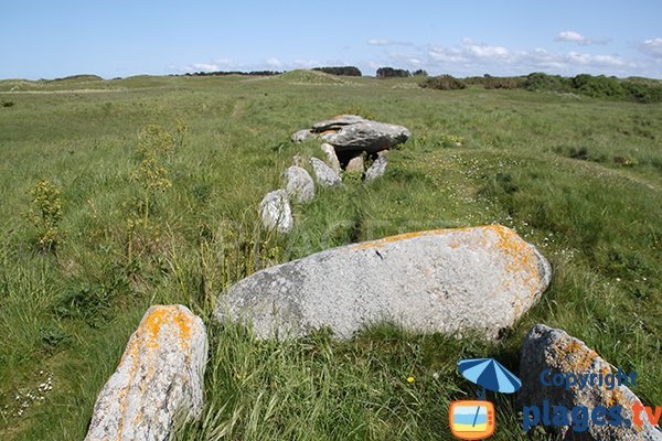 Allée couverte du Ribl - Lampaul Ploudalmézeau