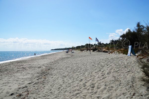 Photo of naturist beach in Linguizzetta - Corsica