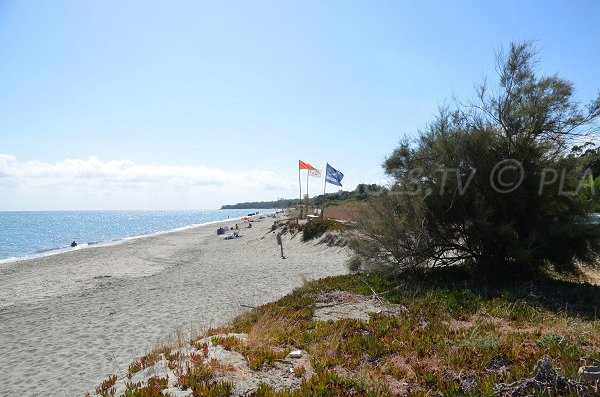 Photo of naturist beach in Corsica - Linguizzetta 