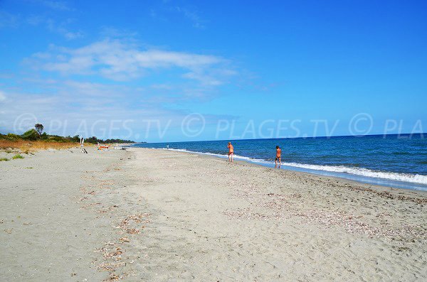 Photo of Tropica beach in Linguizzetta - Corsica