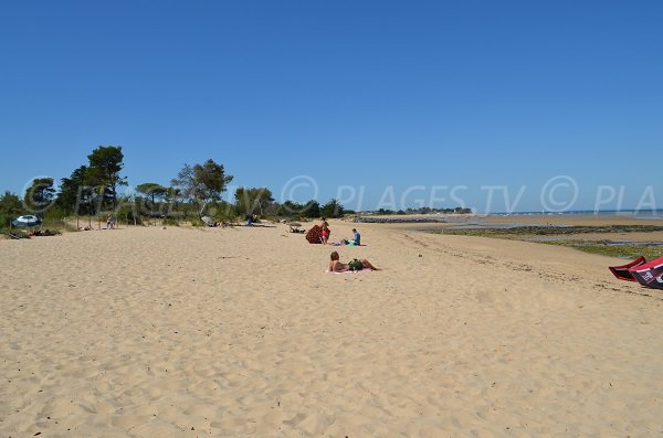 Beach of Trousse Chemise in island of Ré - France