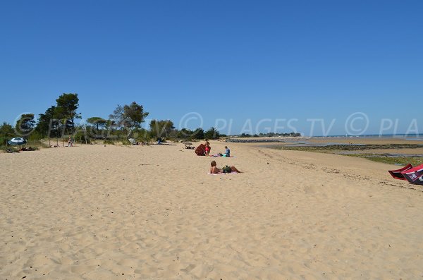 Plage de Trousse Chemise en direction de Nord - Ile de Ré