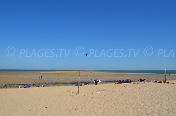 Bench of Bucheron beach in island of Re in France