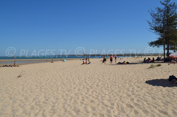 Vue sur Loix depuis la plage du Bucheron de l'ile de Ré