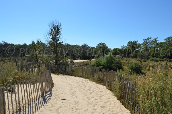 Access to the Bucheron beach - Les Portes en Ré