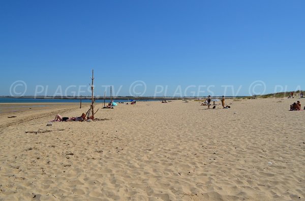 Photo de la plage de Trousse Chemise à Les Portes en Ré