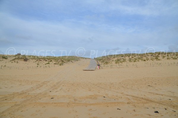 Dune and access to Truc Vert beach in Cap Ferret