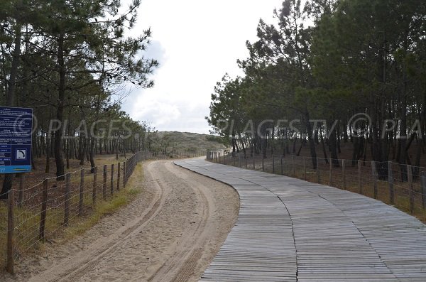 Sentier sur la dune du Truc Vert au Cap Ferret