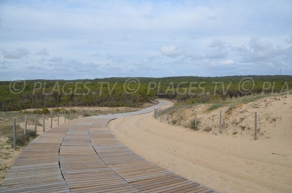 Vista dalla Dune du Truc Vert - Cap Ferret