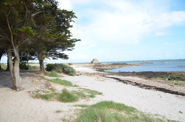 Environment of the beach of Ty Guard in La Trinité sur Mer